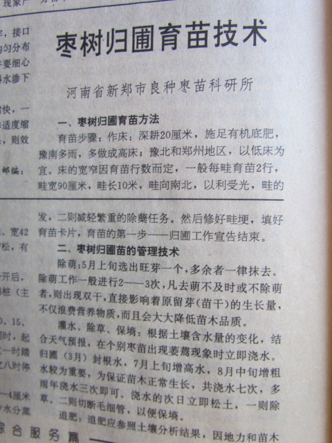 1994年中国林业上发表.JPG