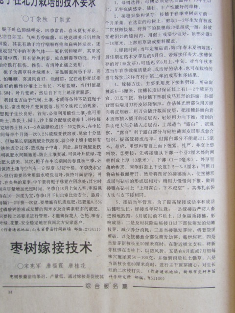 1998年中国林业上发表