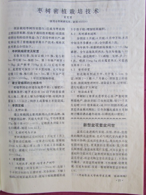 1996年中国林业上发表
