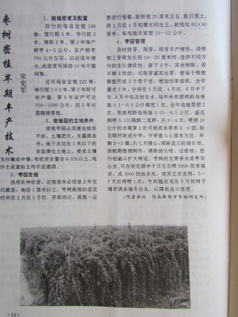1996年甘肃农业科技发表